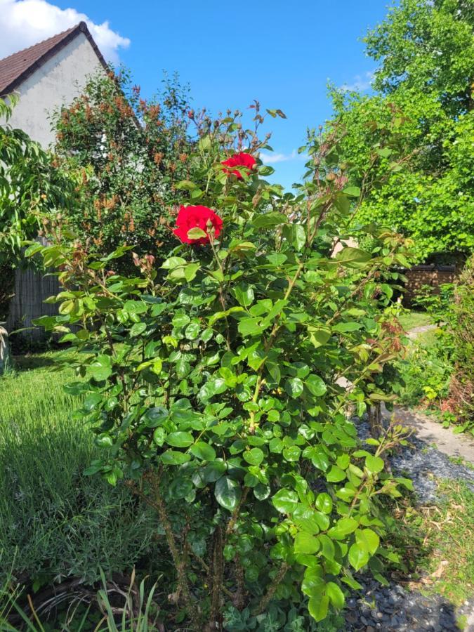 Cosy Room + Breakfast 20 Mn From Epernay Blancs-Coteaux Ngoại thất bức ảnh